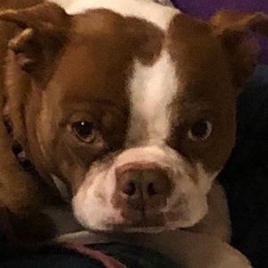 Meet your Posher, Thomas